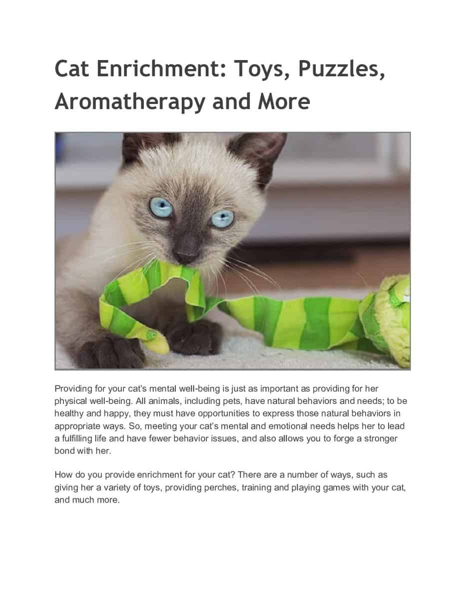 Cat-Enrichment_-Toys-Puzzles-Aromatherapy-and-More