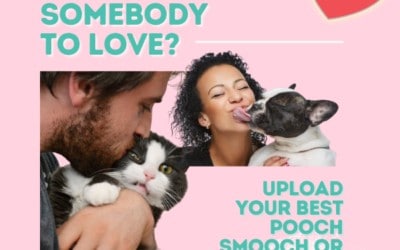 Share your Love with your Somebody to Love!