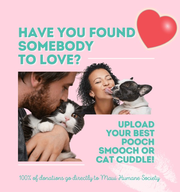 Have you found somebody to love_ cat cuddle and pooch smooch