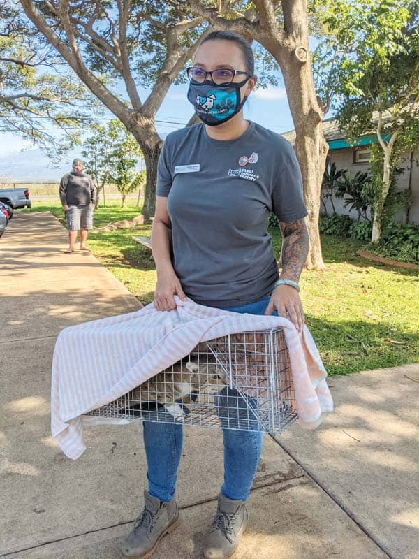 Emily - Community Cat Coordinator