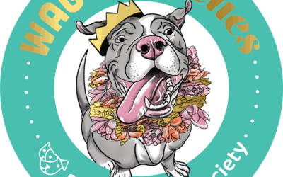 Maui Humane Society to Host WAGS to RICHES Slumber Party – Taking Shelter Pets from the Doghouse to the Penthouse