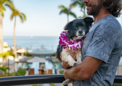 Wags to Riches - Dog at Four Seasons Resort Maui