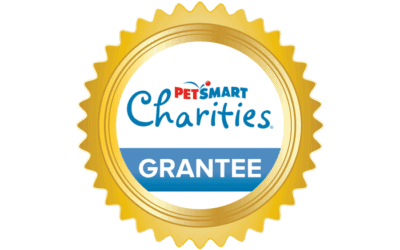 Maui Humane Society receives $40,000 grant from PetSmart Charities