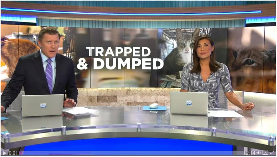 Trapped and Dumped Hawaii News Now - Trapped and Dumped