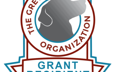 SENIOR DOGS AT MAUI HUMANE SOCIETY FETCH GRANT