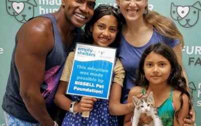 Maui Now: Maui Humane Society Kicks Off “Empty the Shelters” Event