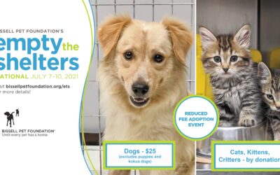 Maui Now: Reduced Adoption Fees at Maui Humane Society, July 7-10