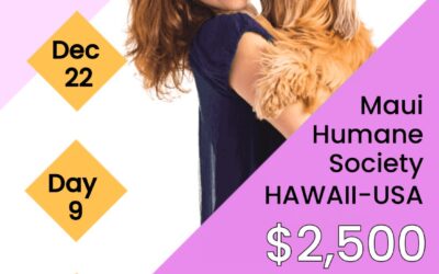 EIN Presswire: Pawthereum is Joined by GroovyNFT on a Donation to Maui Humane Society