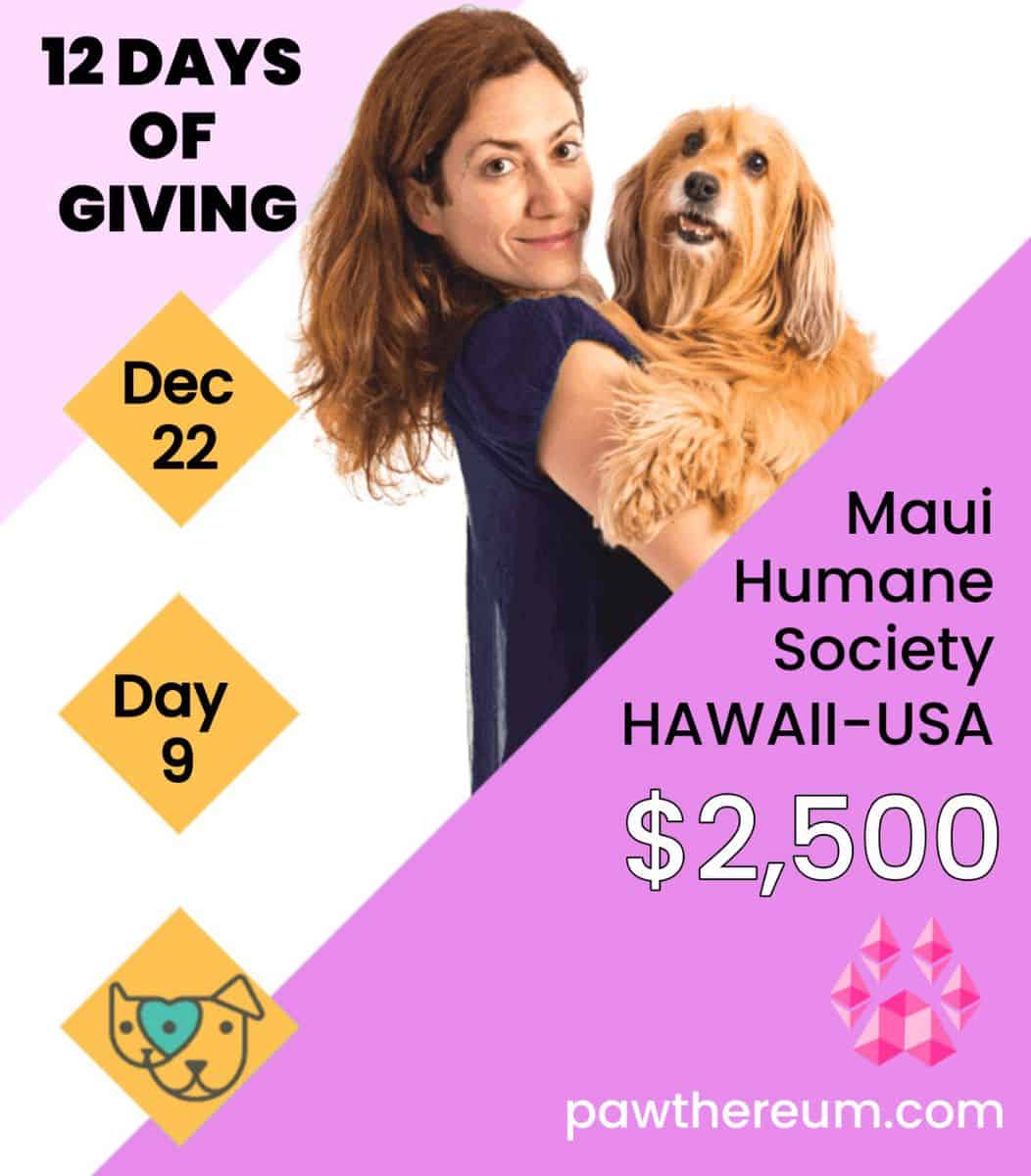 Pawthereum - 12 Days of Giving