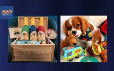 MauiNow: Maui Humane Society Hosting Virtual Holiday Auction