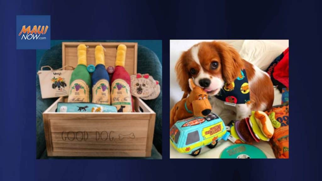 Maui Humane Society's Holiday Auction - Dec 17-19 Maui Humane Society's Holiday Auction - Dec 17-19