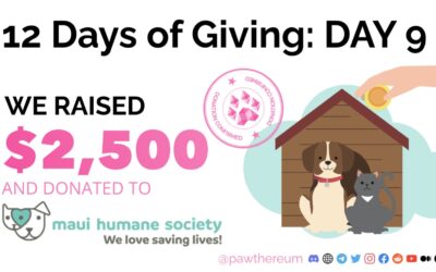 Pawthereum: 12 Days of Giving: Day 9 (Maui Humane Society)