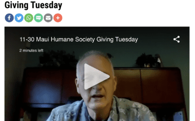 KHON2: Maui Humane Society asking for donations on Giving Tuesday