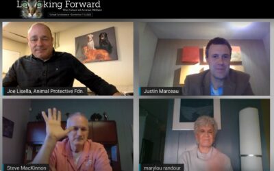 Steve MacKinnon, CEO, Presents at AAWA Conference