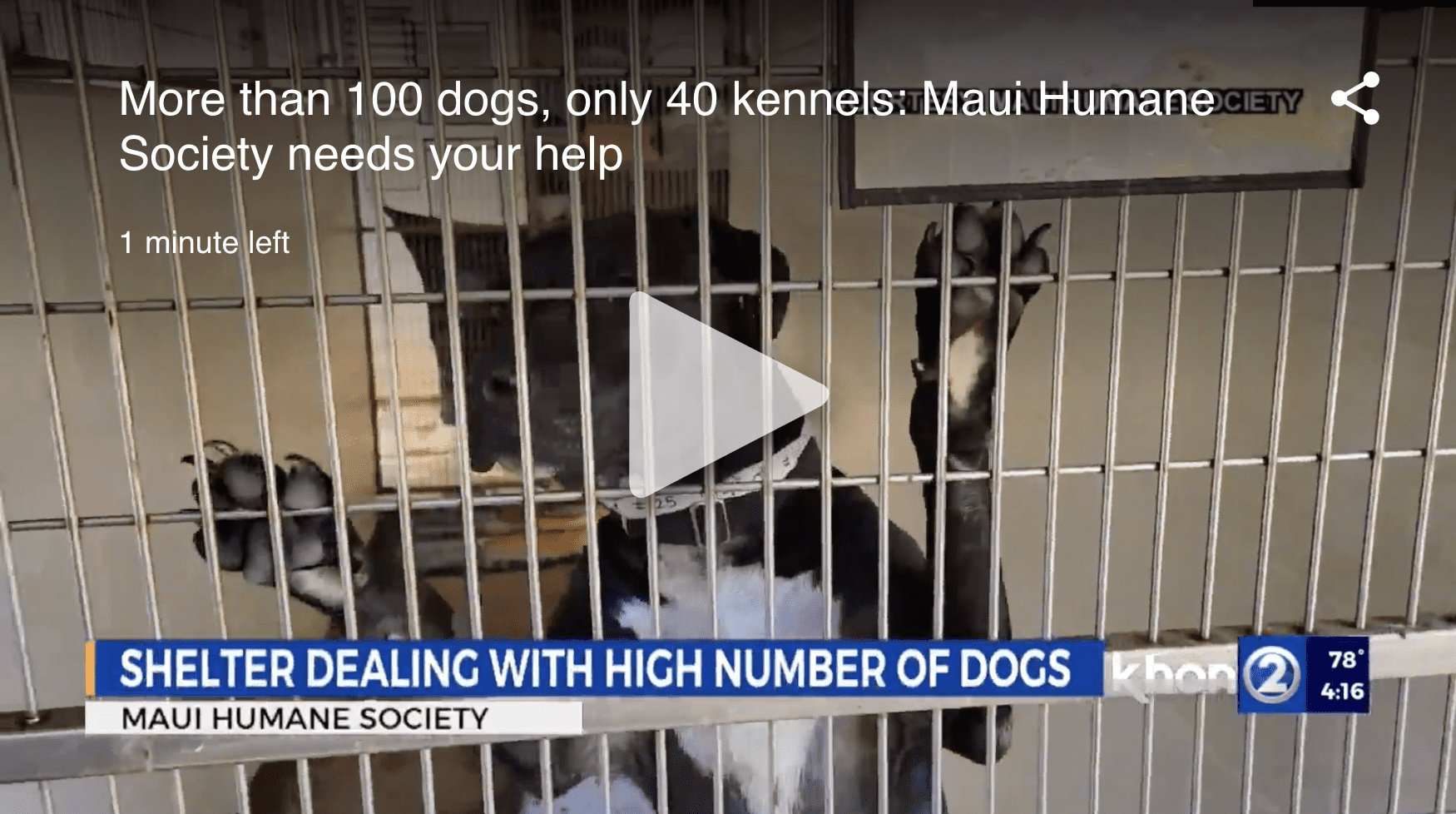 KHON2 Interview KHON2 Interview