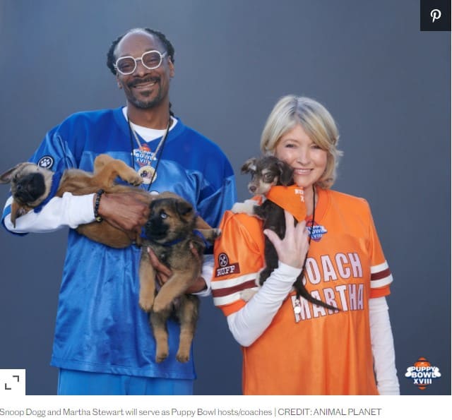 Snoop Dog and Martha will be Hosting PuppyBowl 2022!