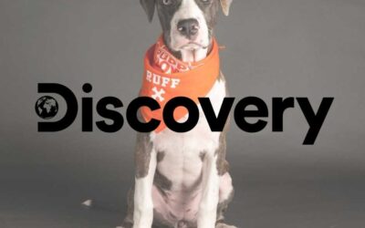Discovery: Meet Hoku, Hawaii’s First Puppy Bowl Player