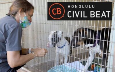Honolulu Civil Beat: Good Luck Finding A Place To Rent If You Own A Pet — Especially On Maui