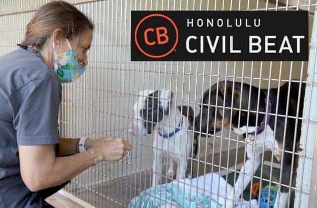 Honolulu Civil Beat - Julie, 4EverPets and Pet Retention Coordinator