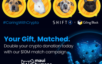 Maui Now: Maui Humane Society launches $10M Crypto Match campaign