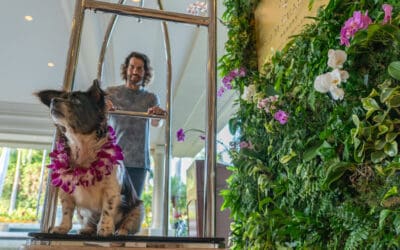 Maui Humane Society’s WAGS to RICHES Event is Back!