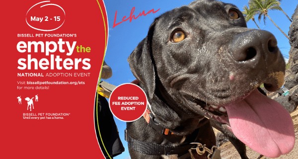 Empty the Shelters Adoption Event – May 2-15 Empty the Shelters Adoption Event - May 2-15