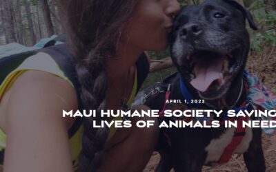 Maui Nui First: Maui Humane Society saving the lives of animals in need
