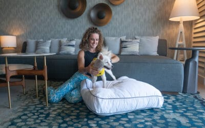 Wags to Riches: Radio show speaking with Cindy Paulos