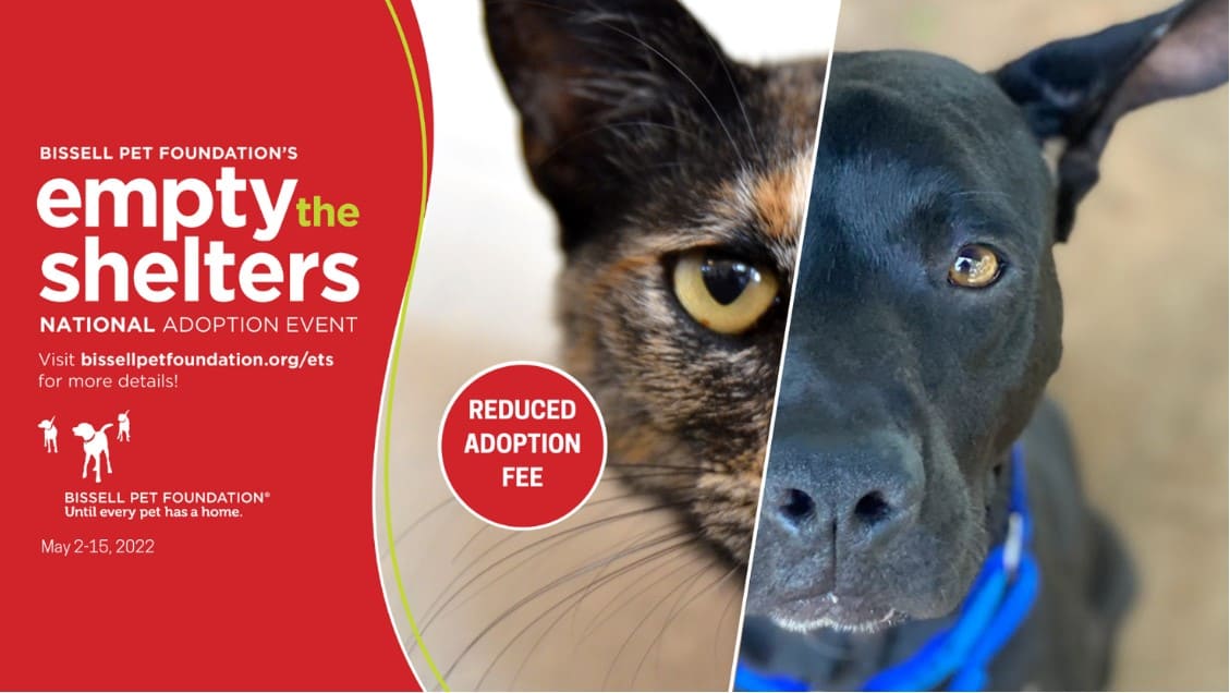 Empty the Shelters Empty the Shelters