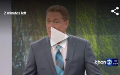 KHON2: Humane societies across the islands need help now