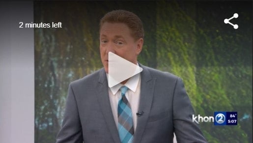 KHON2 - Humane societies across the islands need help now KHON2 - Humane societies across the islands need help now