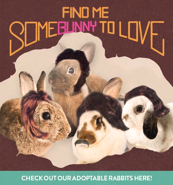 MHS_SBTL_600X640_V2 (2)