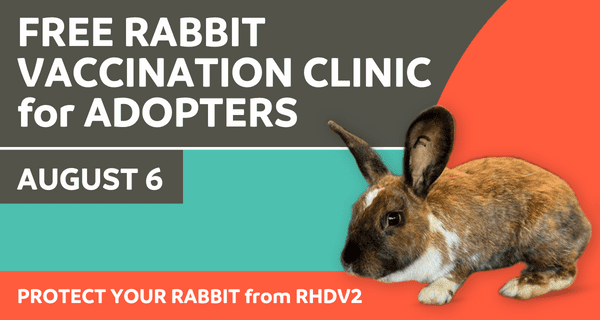 Protect Your Rabbit - MHS Adopters (1) Protect Your Rabbit from RHDV2