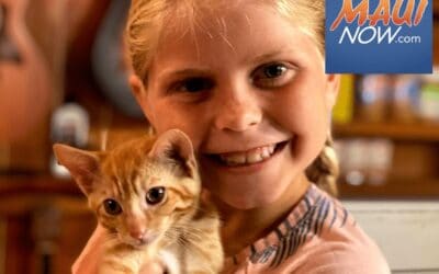 Maui News: Maui Humane Society holding open houses about fostering dogs, cats and critters