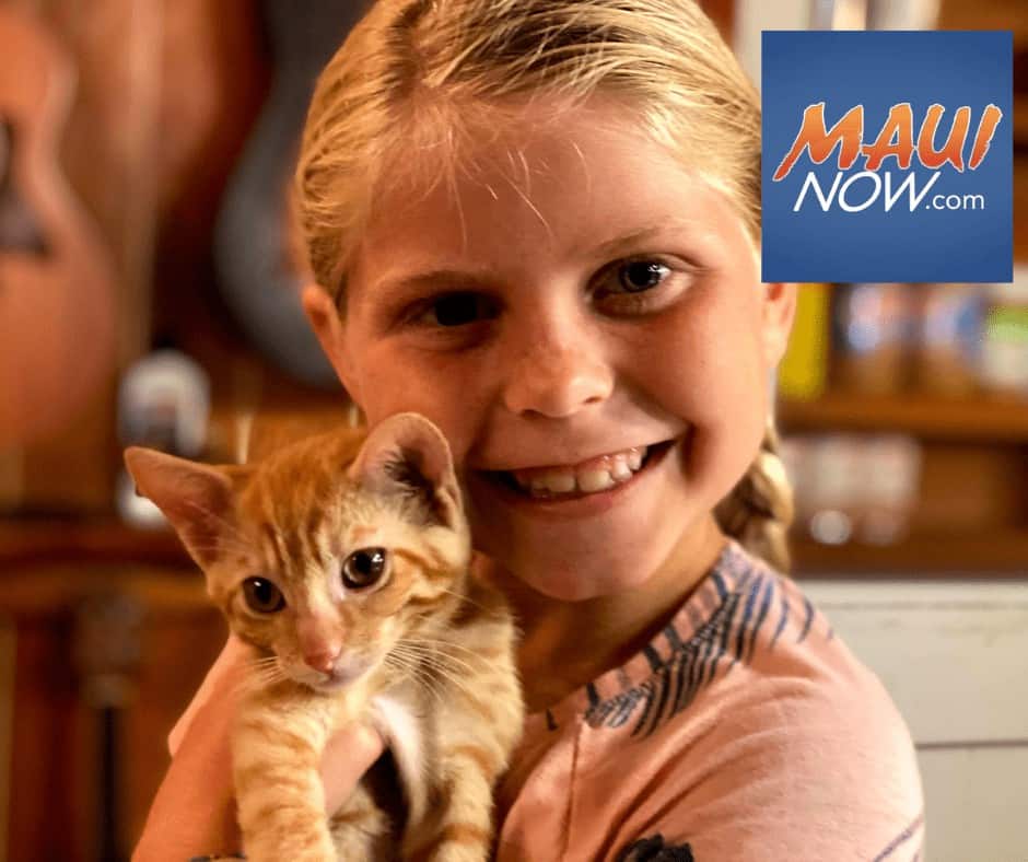 MauiNow: Maui Humane Society holds Foster Open House June 25, 26 MauiNow: Maui Humane Society holds Foster Open House June 25, 26