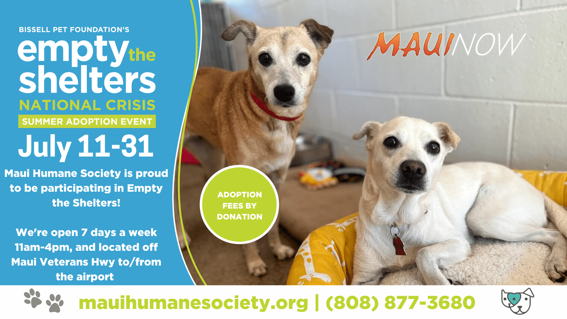 With more than 500 animals in their care, the Maui Humane Society is seeking individuals and families who would like to adopt a new pet.  While the shelter is waiving all adoption fees, it will accept donations. The waiver excludes county fees and licensing for dogs.  Adoptable pets include: dogs, cats, kittens, guinea pigs, and rabbits.