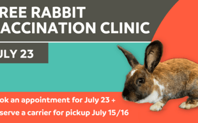 SomeBunny to Love: Protect Your Rabbit against RHDV2
