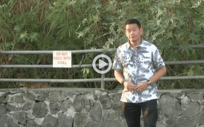 Hawaii News Now: Efforts underway to get a more accurate count of feral cats, reduce concentrated populations