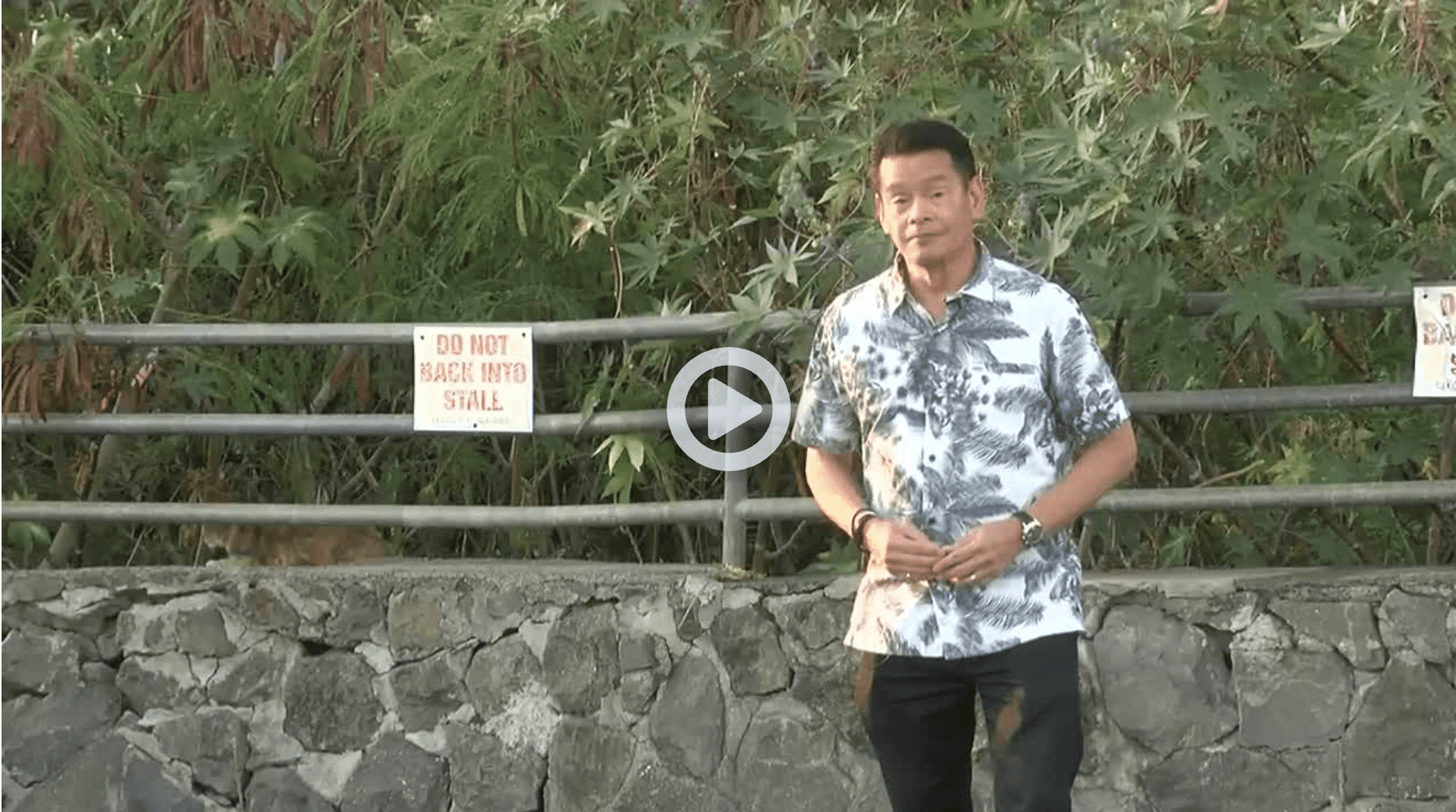 Screen Shot 2022-08-01 at 3.47.15 PM Efforts underway to get a more accurate count of feral cats, reduce concentrated populations