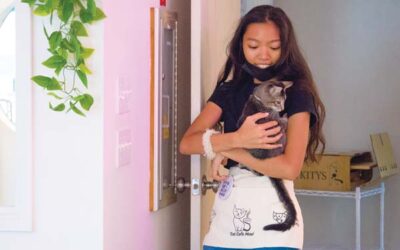 The Maui News: Cat café opens at mall, other businesses coming soon