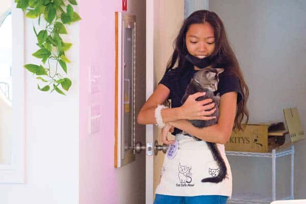 Volunteer Nikki Ignacio holds one of the cats up for adoption at the new Cat Cafe Maui at the Queen Ka‘ahumanu Center this past week. Moriah Diamond Photography