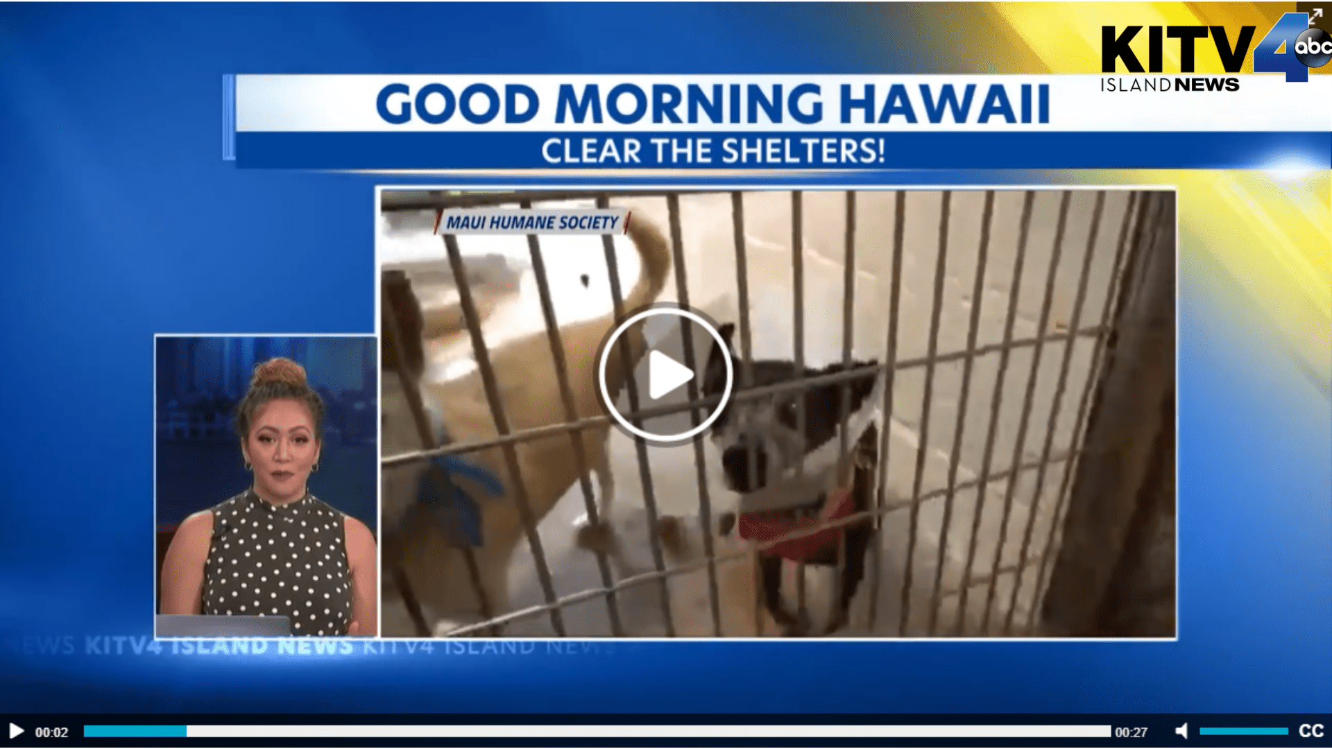 KITV4 - Bissell Empty the Shelters happening on Maui KITV4 - Bissell Empty the Shelters happening on Maui