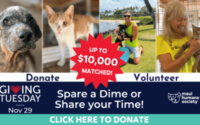 $10,000 Match Campaign starts on Giving Tuesday