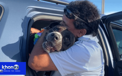 KHON2: Dog reunites with owner after 3 years, machete attack