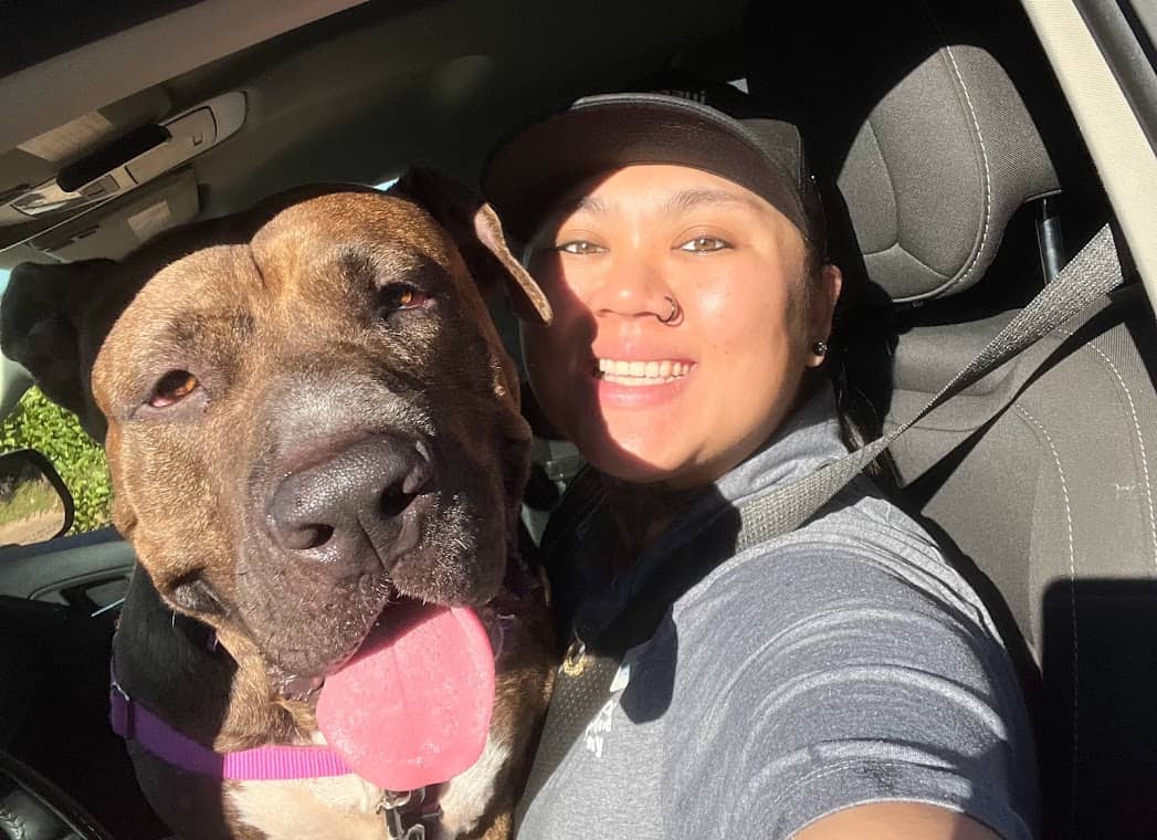 Chunky Meatball - Dog - 2 Chunky Meatball - Dog