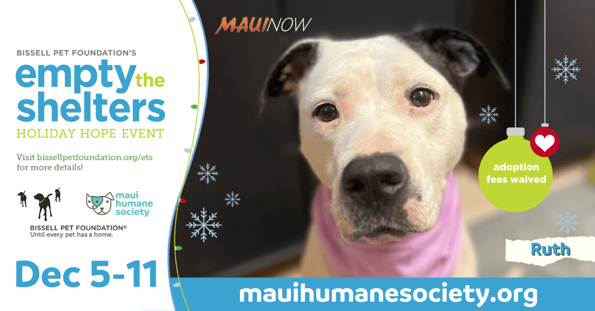 Maui Now: The Bissell Pet Foundations nationwide Empty the Shelters adoption event starts Monday, Dec. 5, with opportunities for pet adoptions continuing through Dec. 11 at the Maui Humane Society.