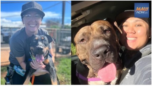 Foster for the Holidays - Main Image Foster for the Holidays - Featuring Herman and Chunky Meatball