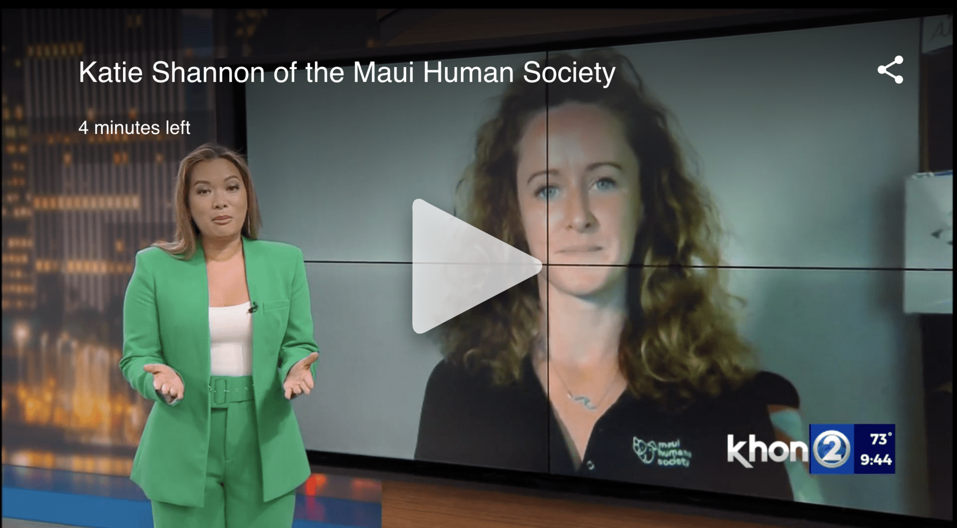 KHON2 Interviews Katie Shannon about the Foster Program and Fireworks Safety KHON2 Interviews Katie Shannon about the Foster Program and Fireworks Safety