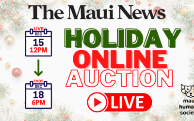 Maui News: Auction to benefit shelter animals Dec 15-18!