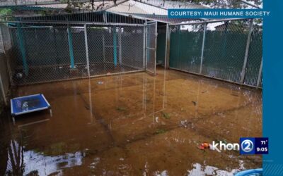 KHON2: Maui County slammed with rain: ‘Lots of destruction’